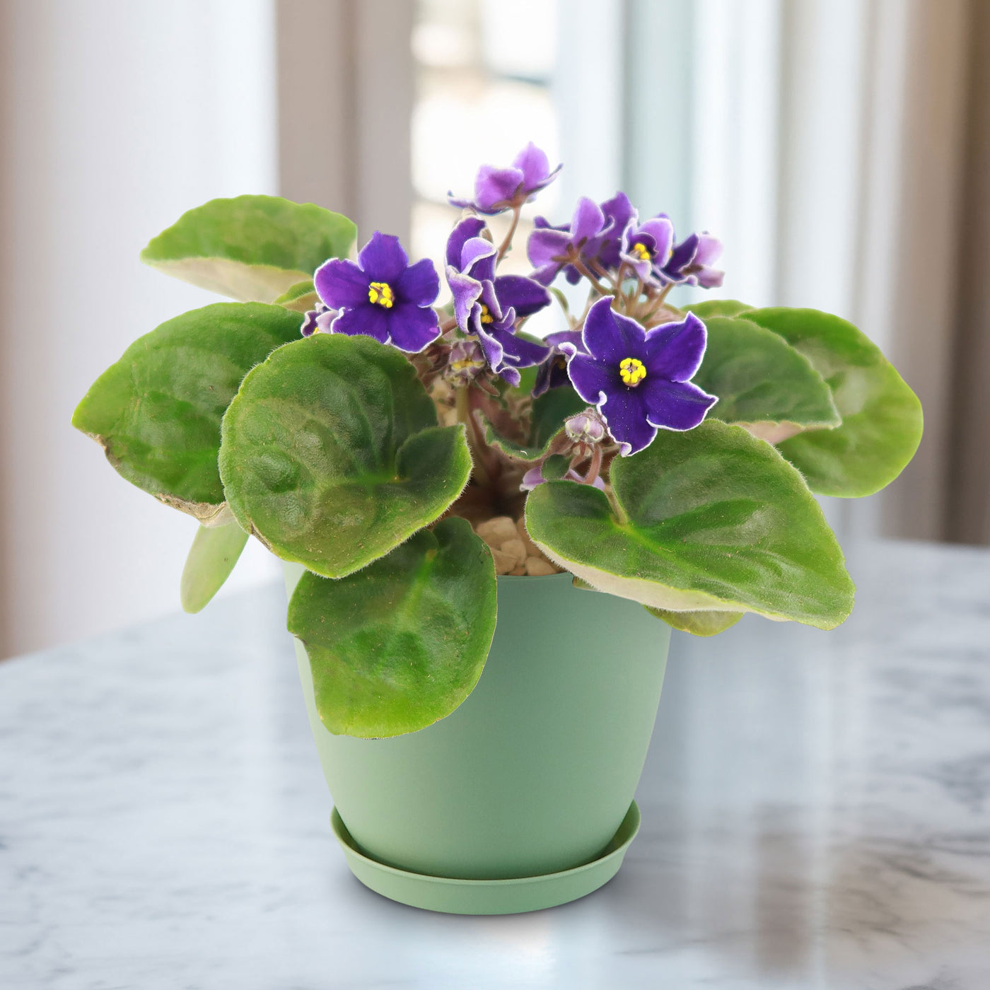 Grand Vase De Sol Touna 69 Cm En Métal Violet Et Argenté, Design Moderne Et Uni