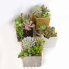 DIY Ceramic Cubed Pot w/ 4 assorted Succulents