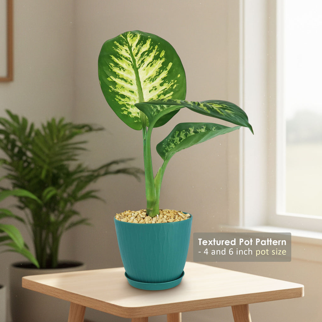patrol_placeholder_a6ead9acc5af34cb22c78a05ed144ef7