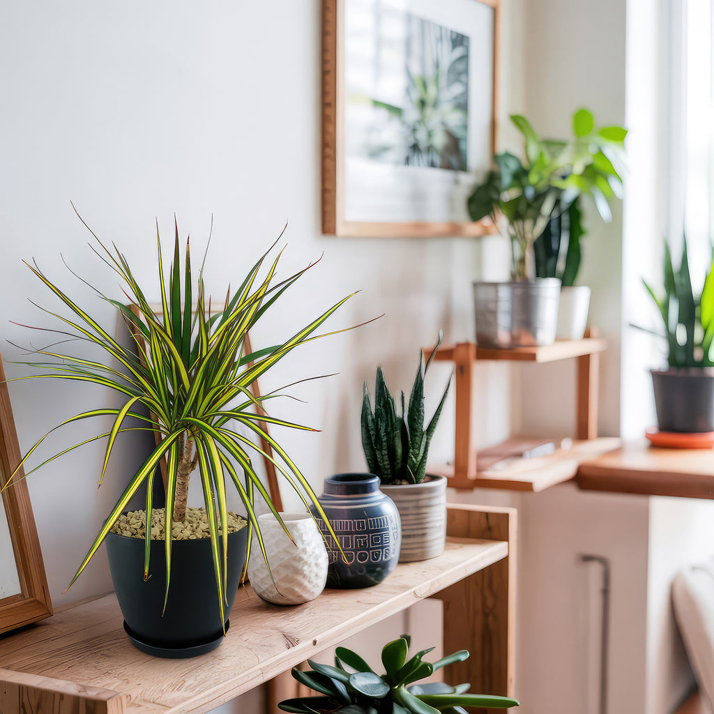 patrol_placeholder_a6ead9acc5af34cb22c78a05ed144ef7