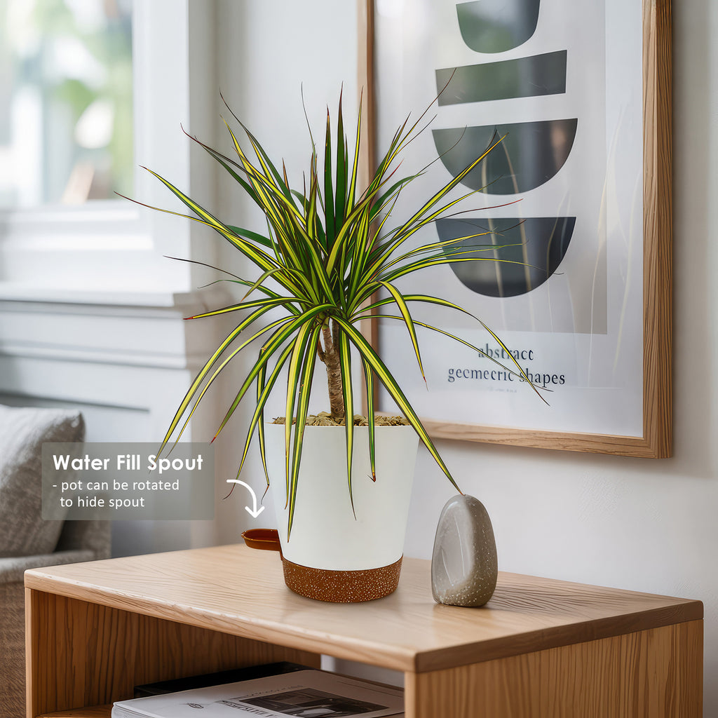 patrol_placeholder_a6ead9acc5af34cb22c78a05ed144ef7