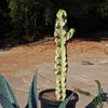 Variegated African Candelabra - Euphorbia ammak variegata