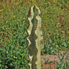 Variegated African Candelabra - Euphorbia ammak variegata