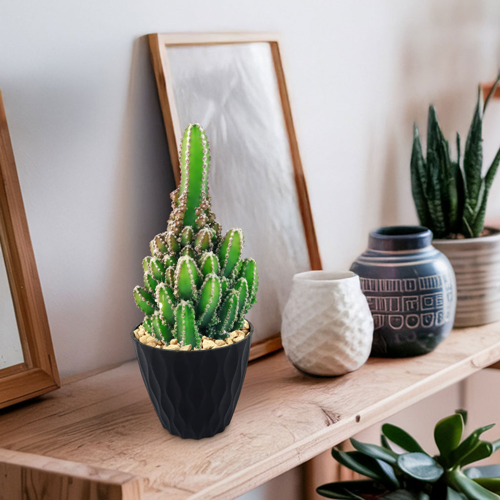 patrol_placeholder_a6ead9acc5af34cb22c78a05ed144ef7