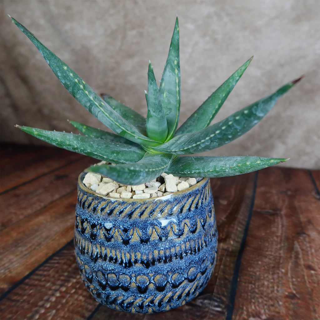 Fancy Blue Pot