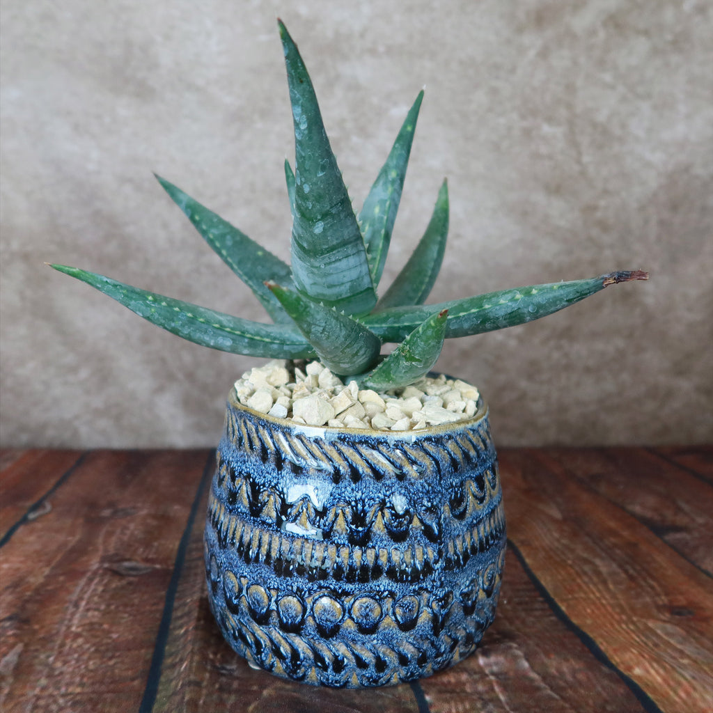 Fancy Blue Pot