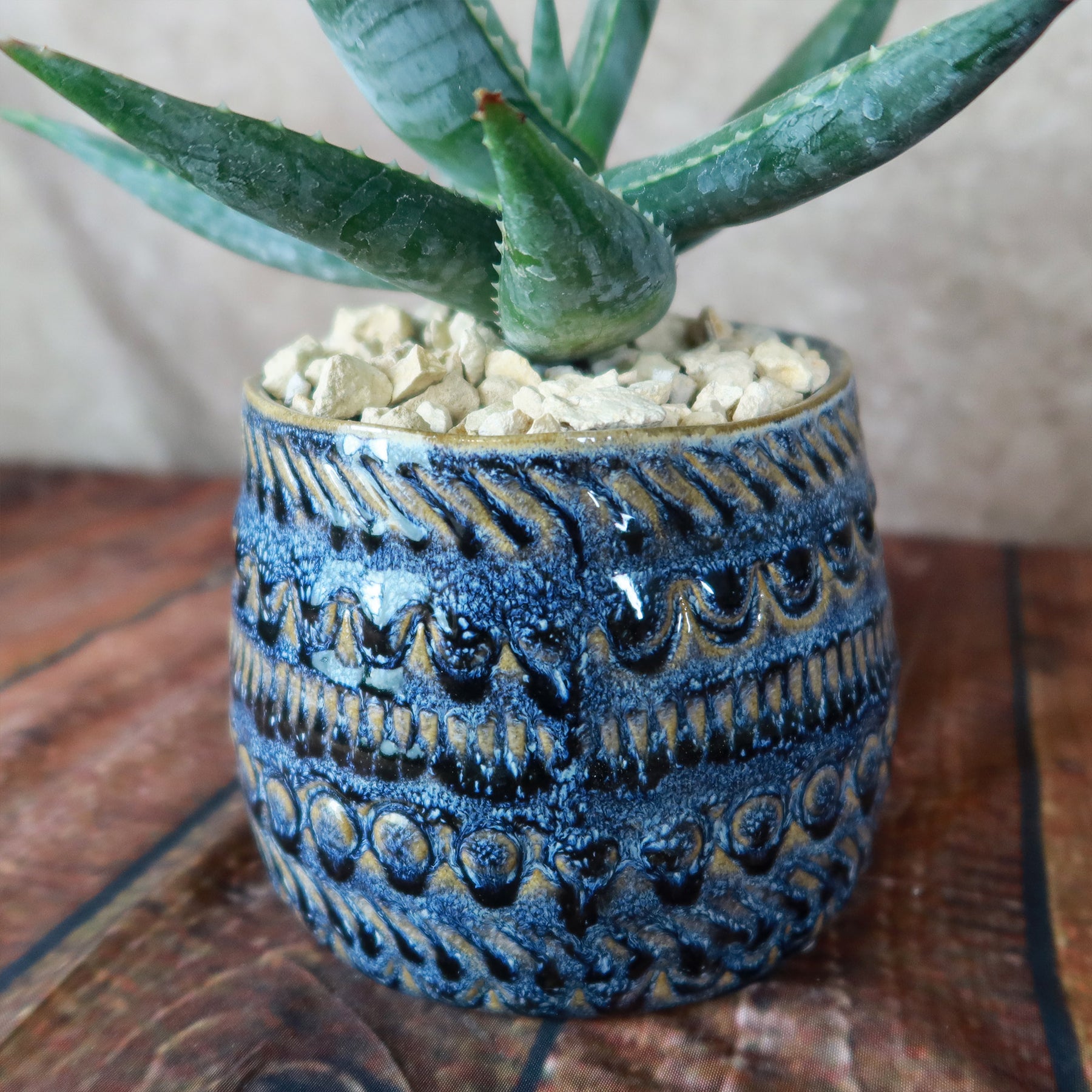 blue indoor plant pots Fancy Blue Pot – Planet Desert