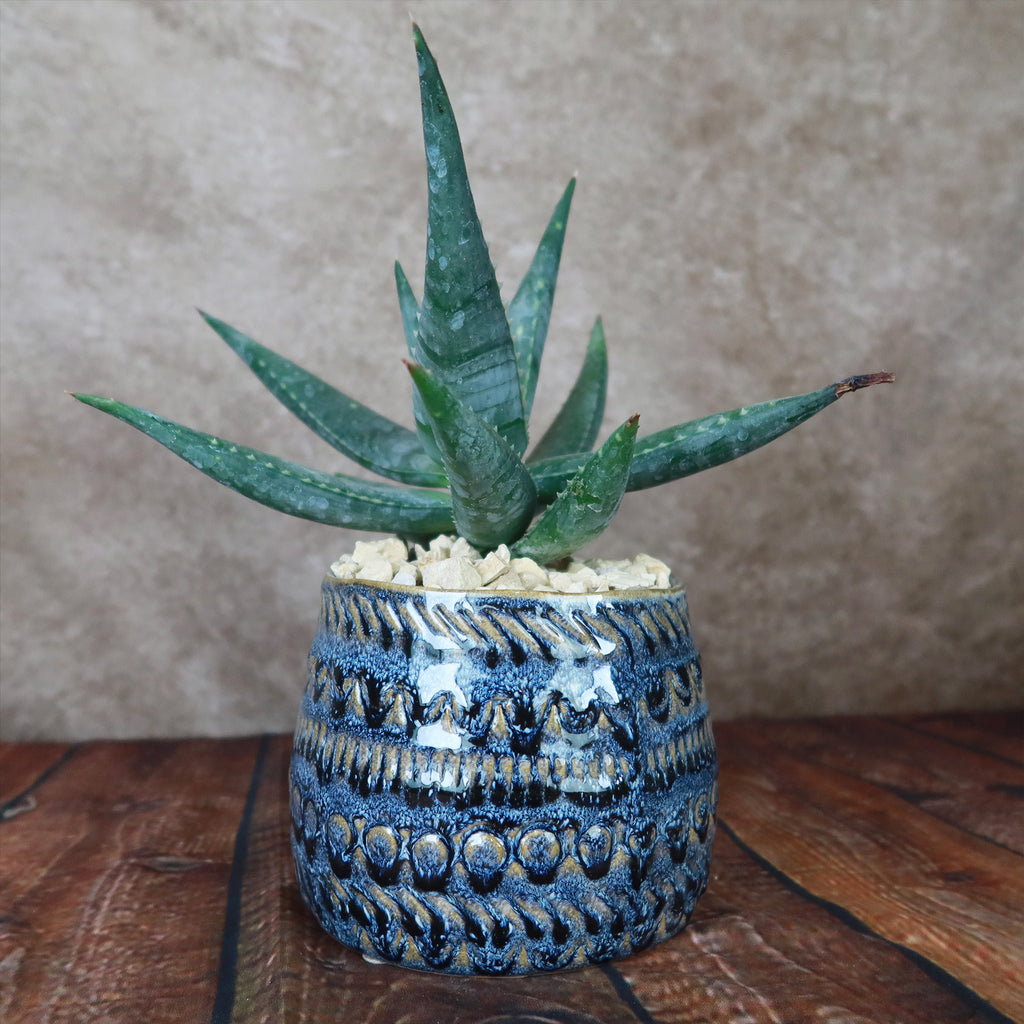 Fancy Blue Pot