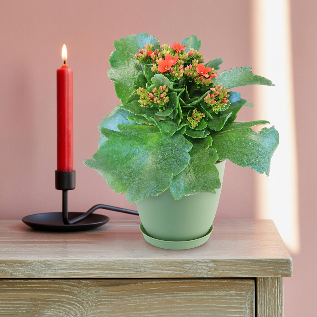 patrol_placeholder_a6ead9acc5af34cb22c78a05ed144ef7