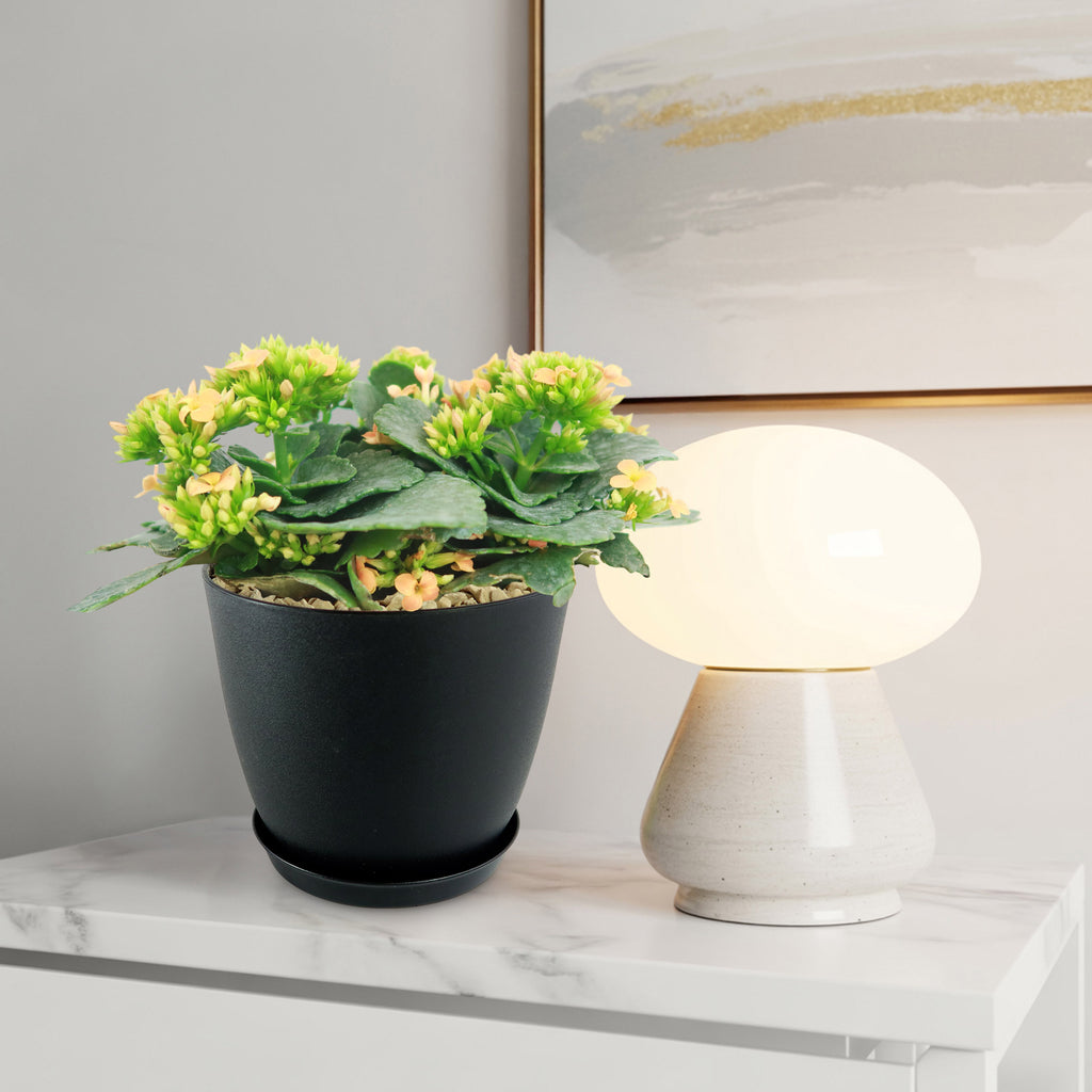 patrol_placeholder_a6ead9acc5af34cb22c78a05ed144ef7