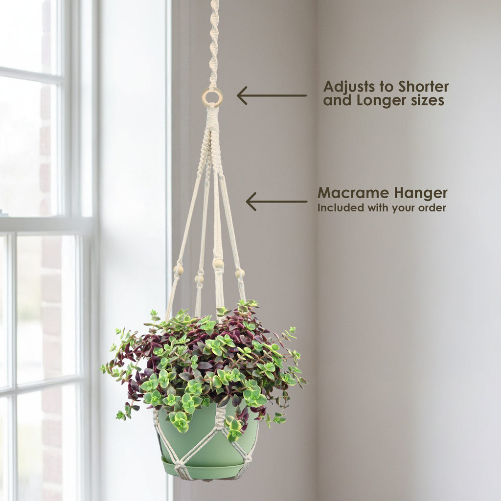 patrol_placeholder_a6ead9acc5af34cb22c78a05ed144ef7