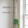 A macrame plant hanger with a potted Peperomia Hope hangs by the window, featuring adjustable knots and included with every order.