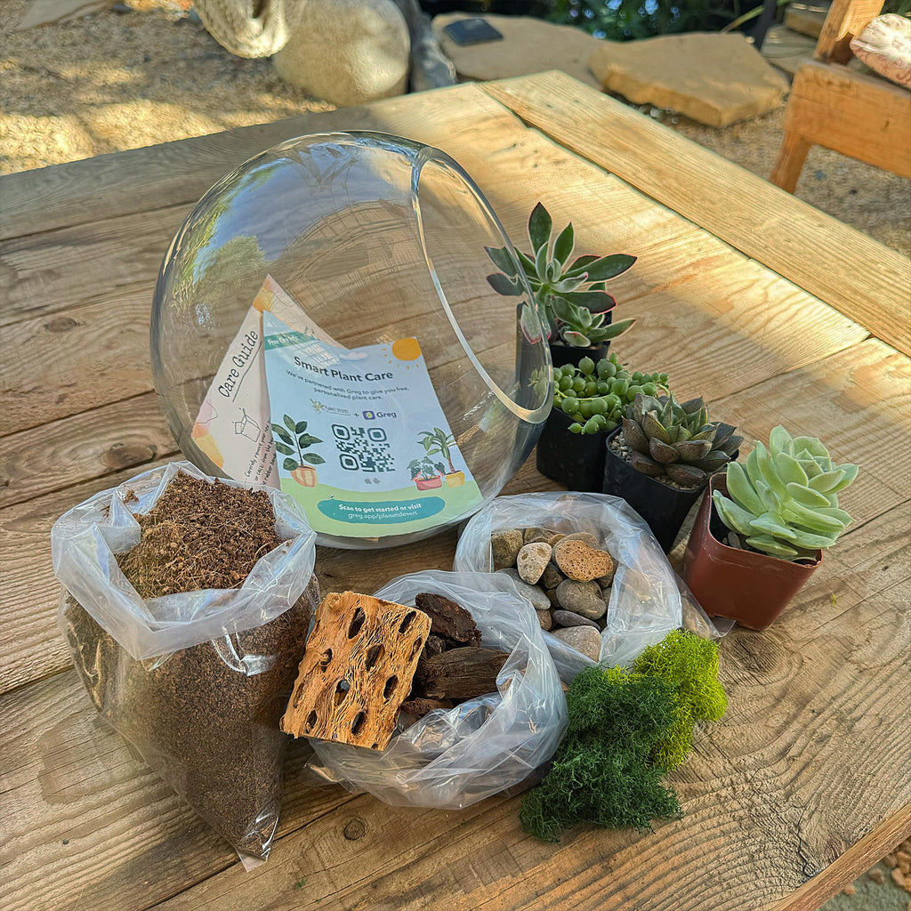 Succulent Terrarium DIY Kit – Full Moon Glass Terrarium Large Planter