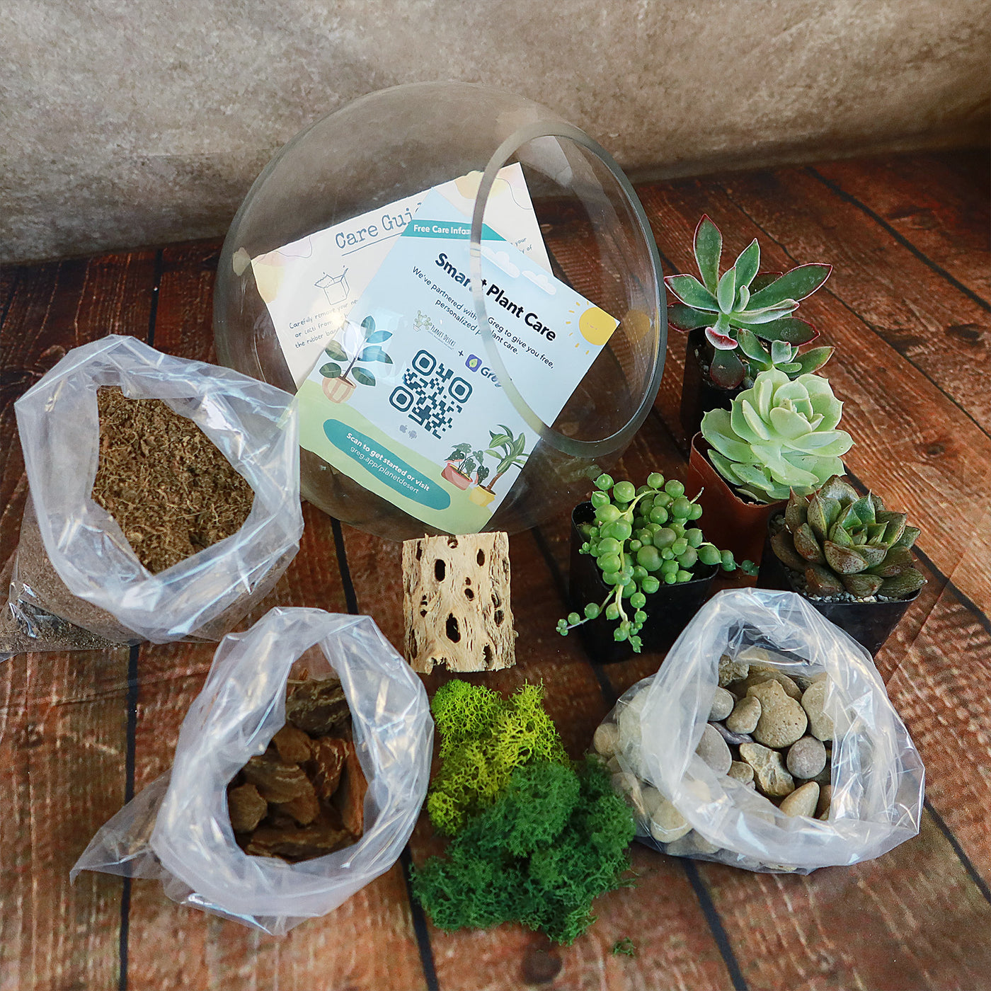 build your own succulent terrarium kit Succulent Terrarium DIY Kit – Full Moon Glass Terrarium Large Planter