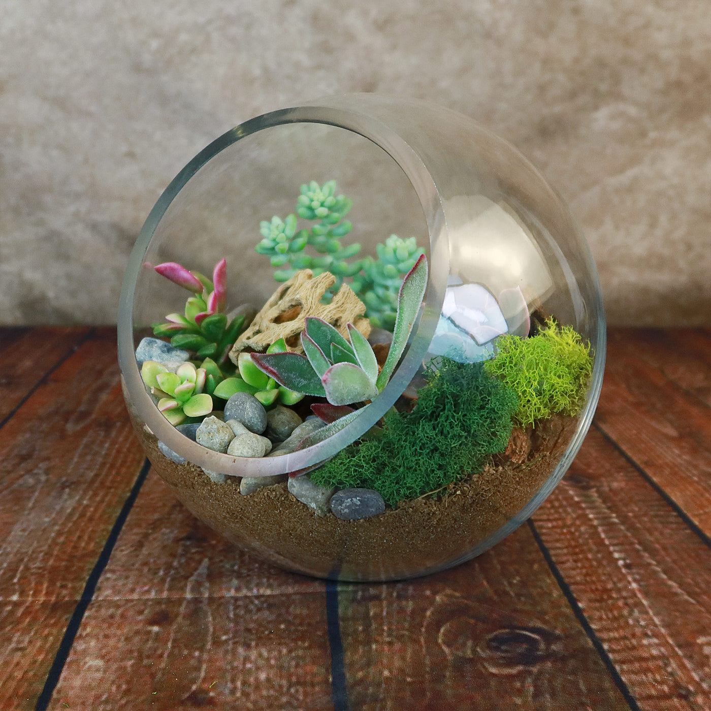 terrarium soil succulents Succulent Terrarium DIY Kit – Full Moon Glass Terrarium Large Planter