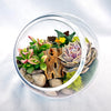 Glass Terrarium With 3 live Plants DIY Kit- Full Moon Glass Small Planter