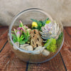 Glass Terrarium With 3 live Plants DIY Kit- Full Moon Glass Small Planter