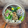 Glass Terrarium With 3 live Plants DIY Kit- Full Moon Glass Small Planter