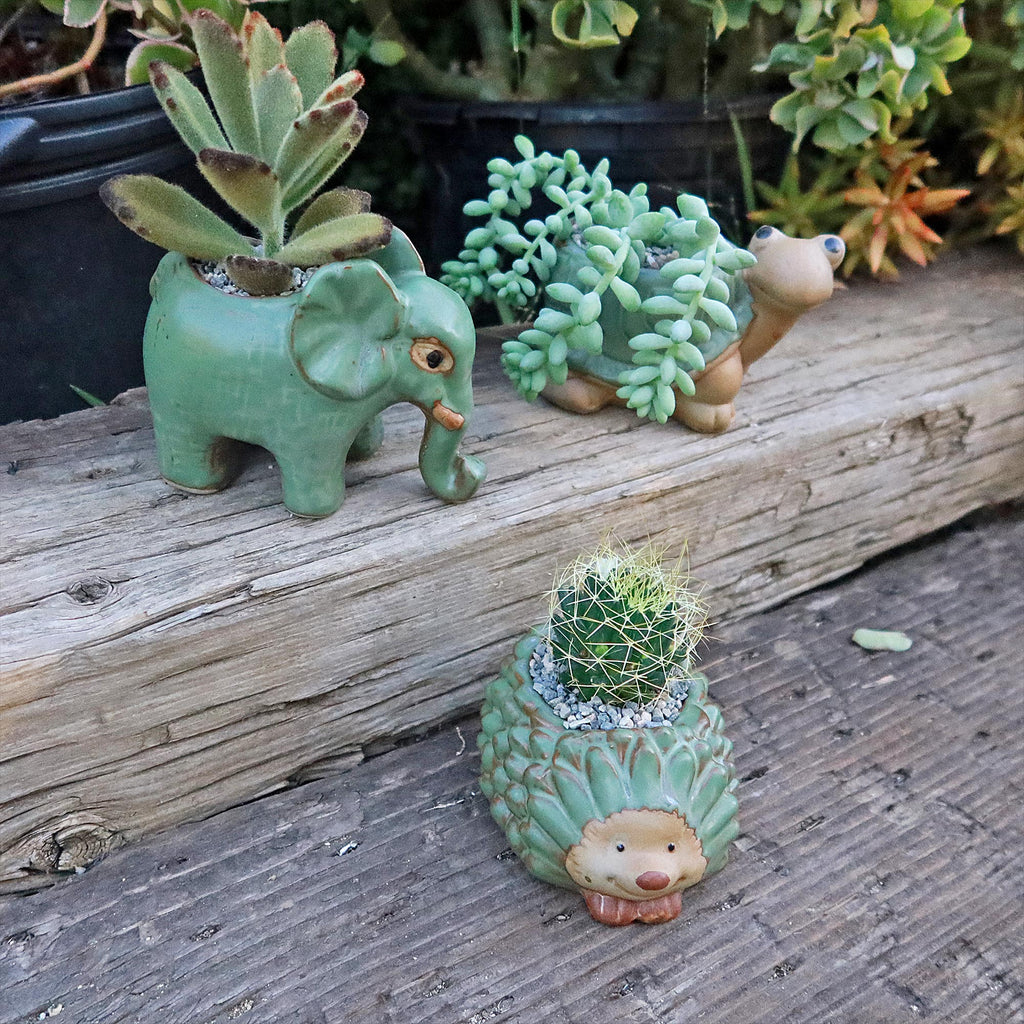 Gift Ceramic Animal Planters for Indoor With Cactus or Succulent