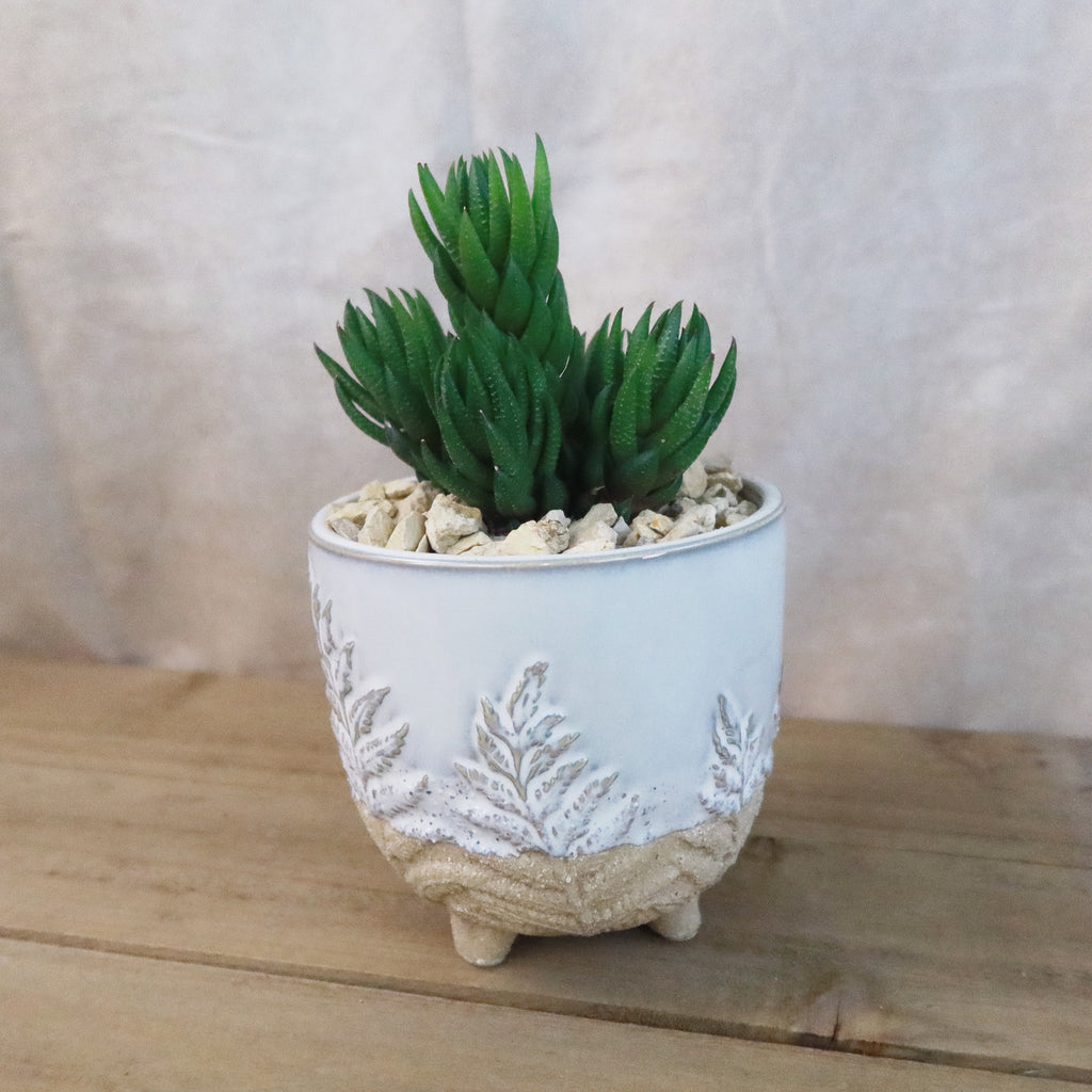 Gift Fern Print Cream & Sand two toned footed Pot w/ Cactus or Succulent