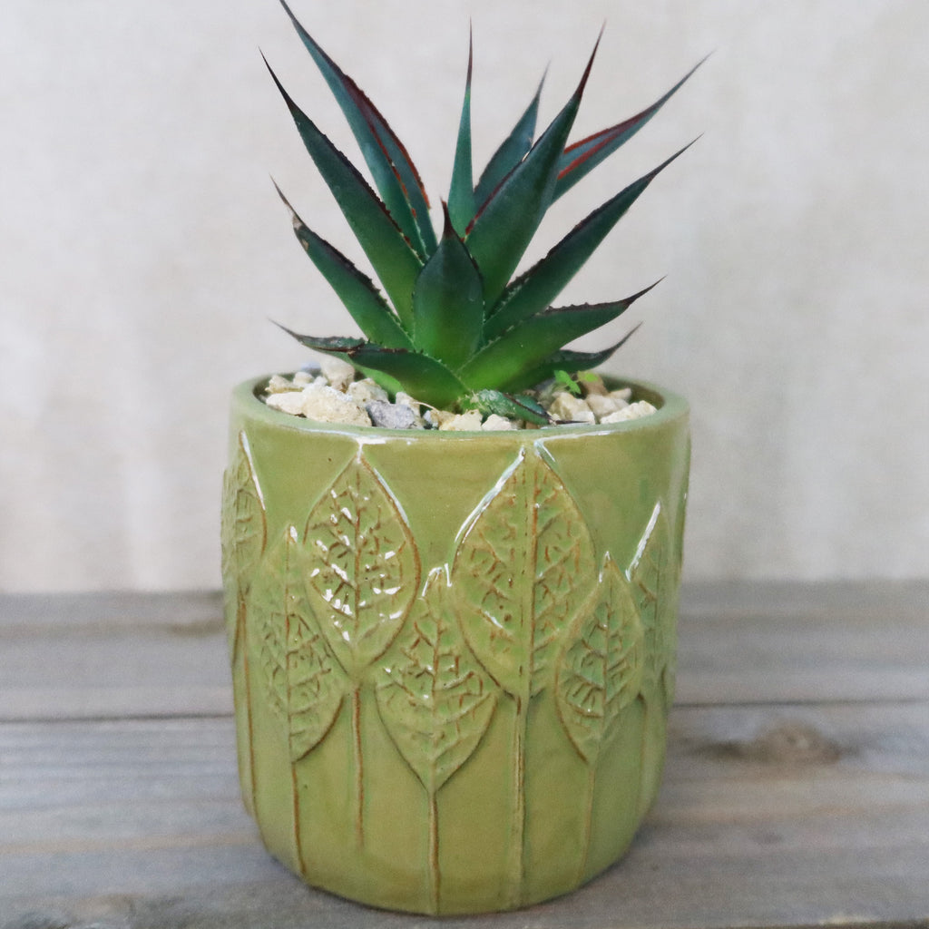 Gift Green Cylindrical Vase w/ Cactus or Succulent