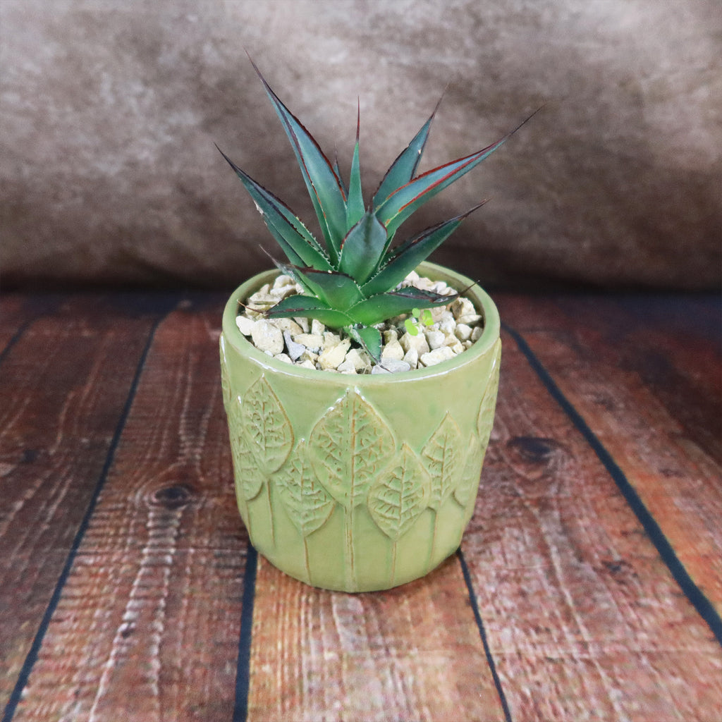 Gift Green Cylindrical Vase w/ Cactus or Succulent