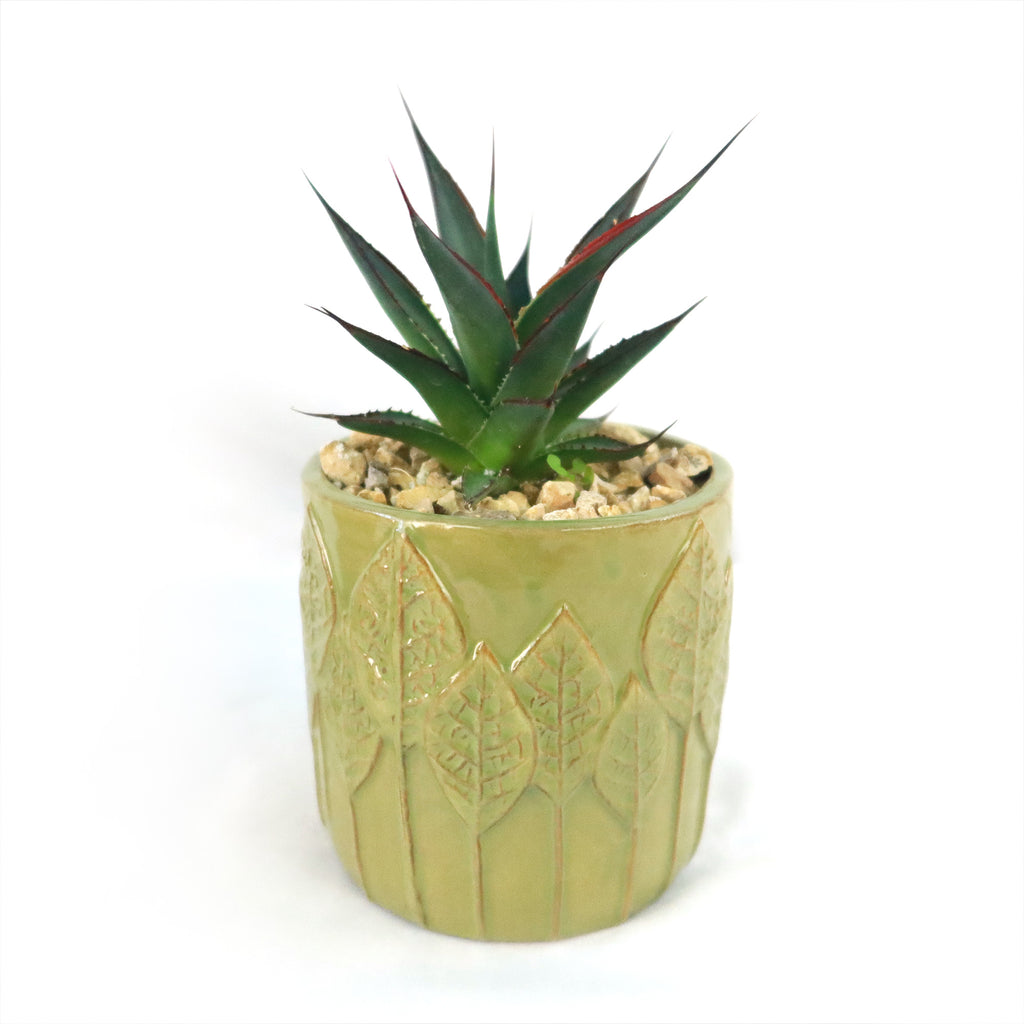 Gift Green Cylindrical Vase w/ Cactus or Succulent