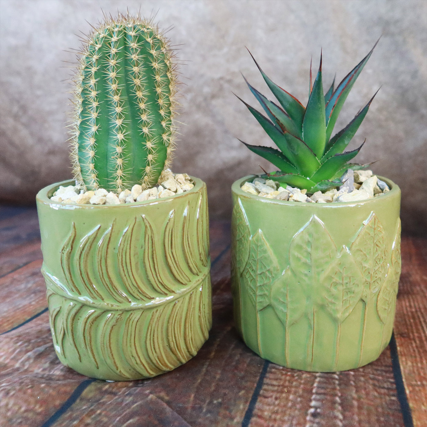 vase with succulents Gift Green Cylindrical Vase w/ Cactus or Succulent 3.5" Pot / Leaf Pattern w/ Succulent
