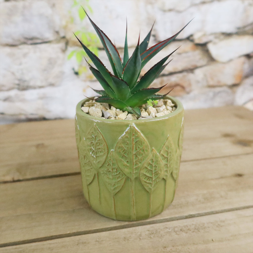 Gift Green Cylindrical Vase w/ Cactus or Succulent