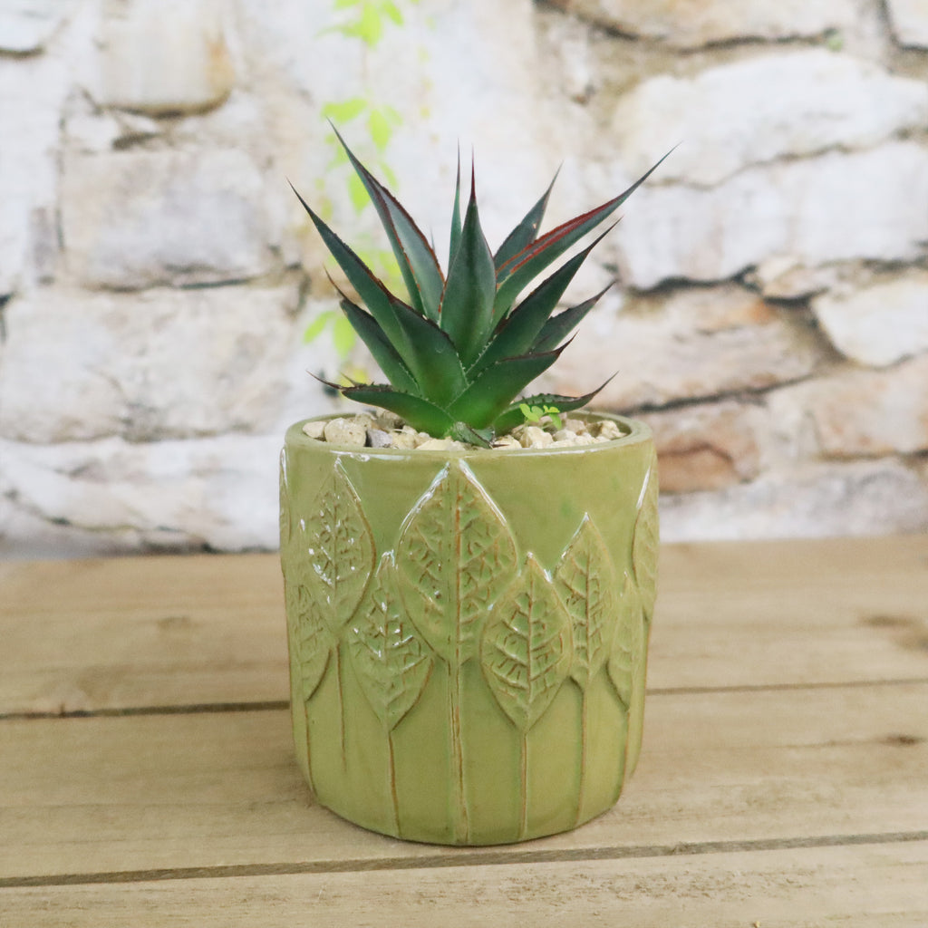 Gift Green Cylindrical Vase w/ Cactus or Succulent