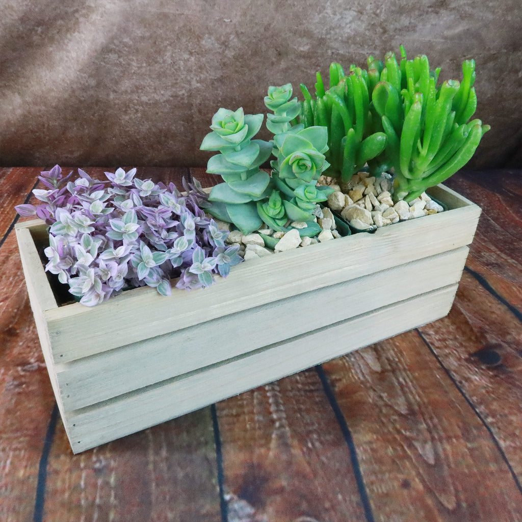 Gift Rustic Wood Crate w/ Cactus or Succulents