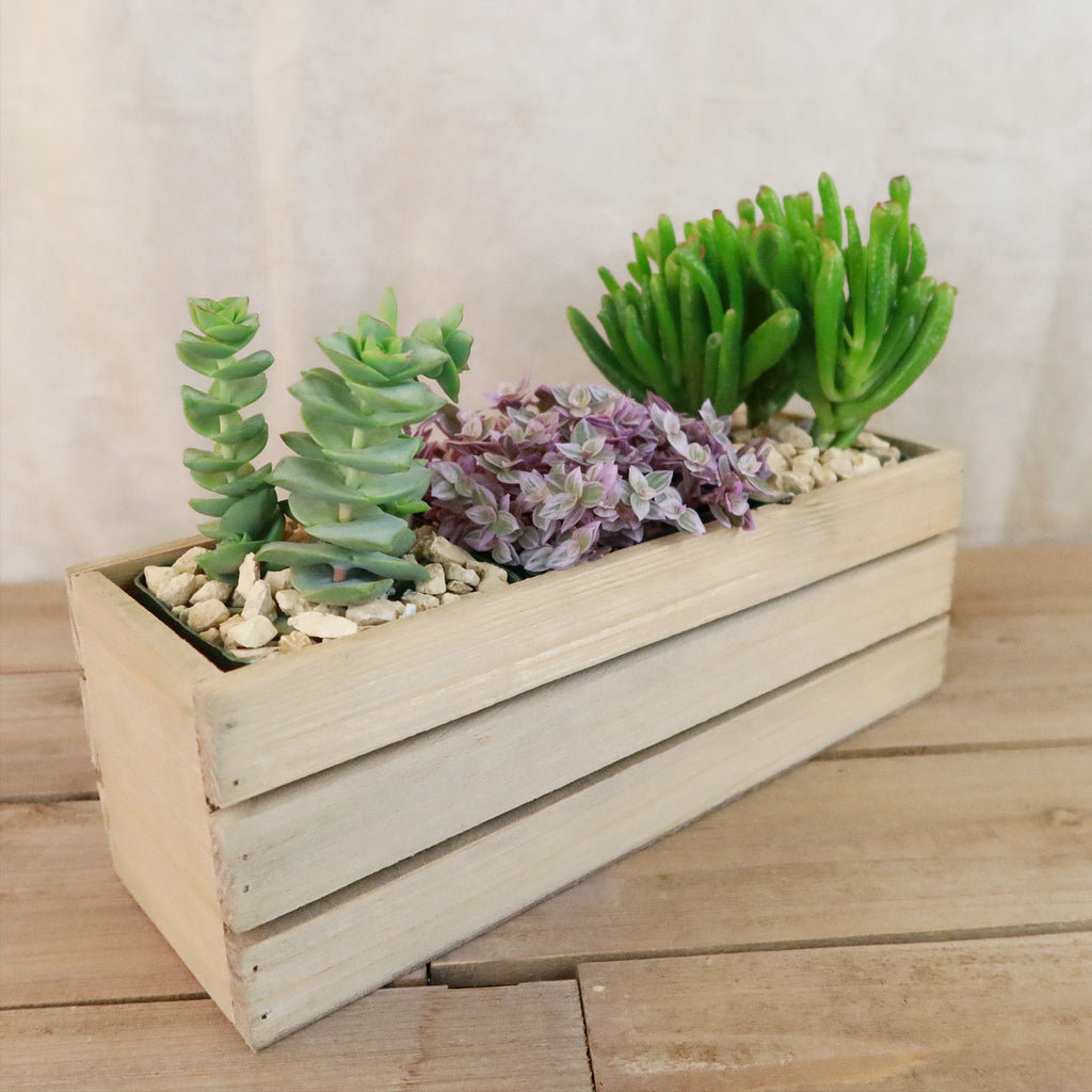 Gift Rustic Wood Crate w/ Cactus or Succulents