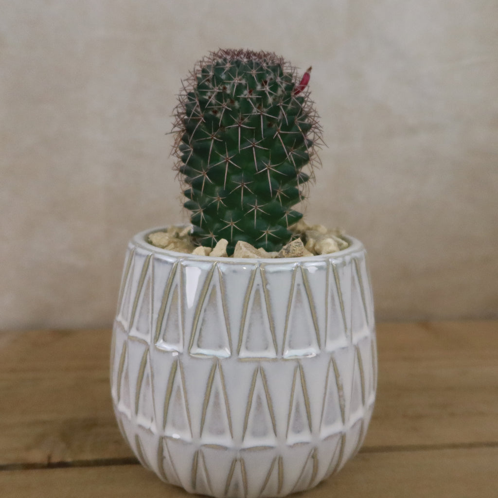 Triangular Print Reactive Glazed Pot