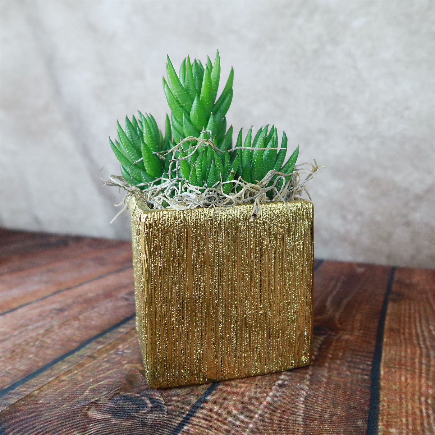 gold pot for plants Gold Ceramic Cube Pot – Planet Desert