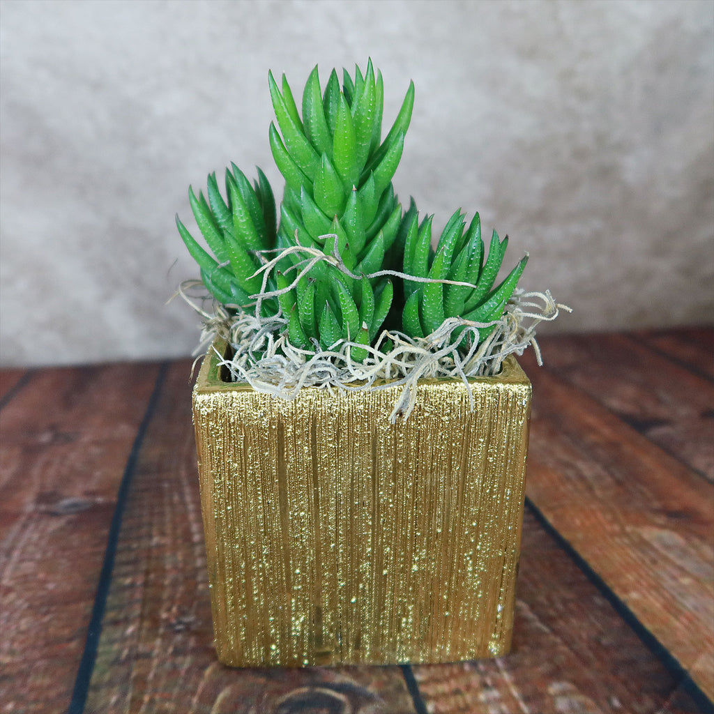 Gold Ceramic Cube Pot