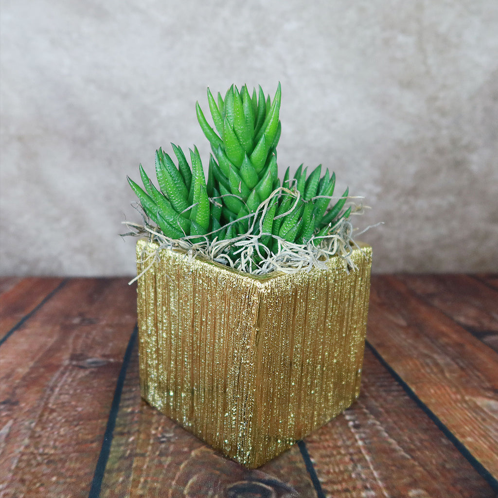 Gold Ceramic Cube Pot