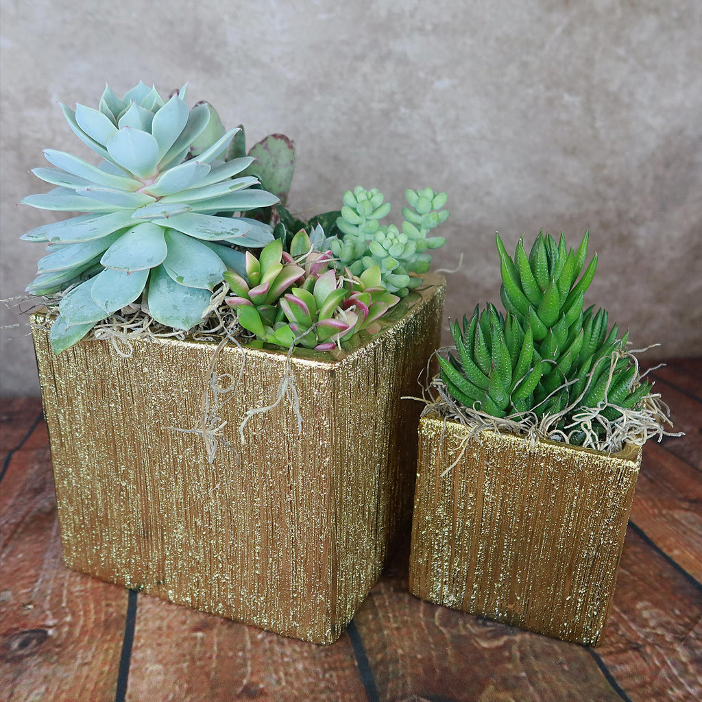 Gold Ceramic Cube Pot