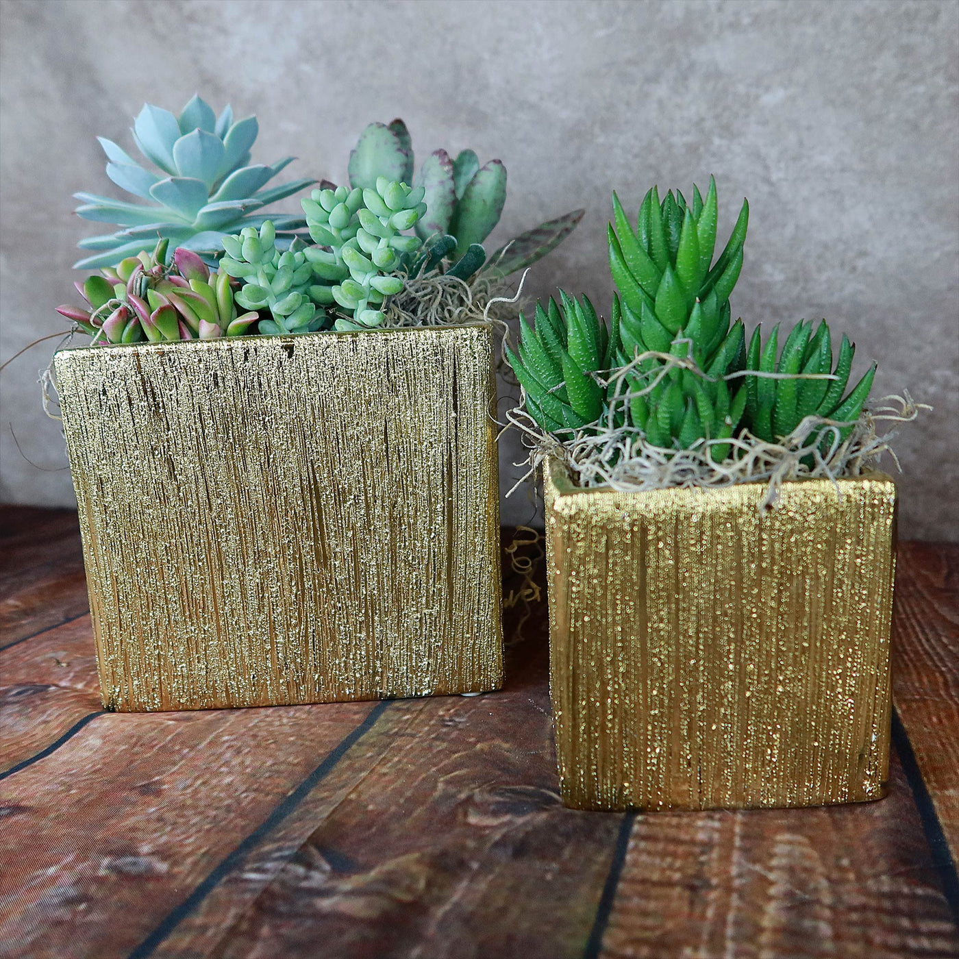 brushed gold plant pot Gold Ceramic Cube Pot – Planet Desert