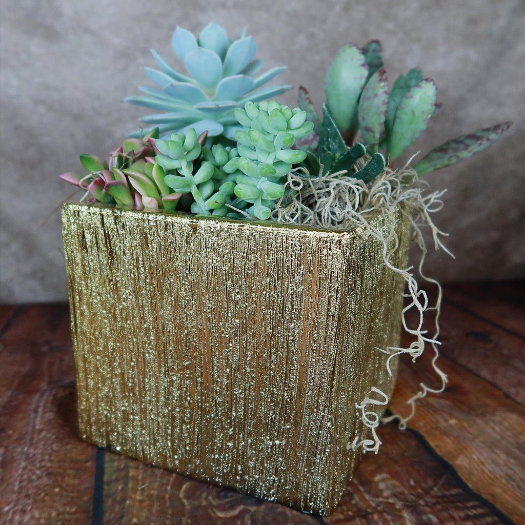 Gold Ceramic Cube Pot