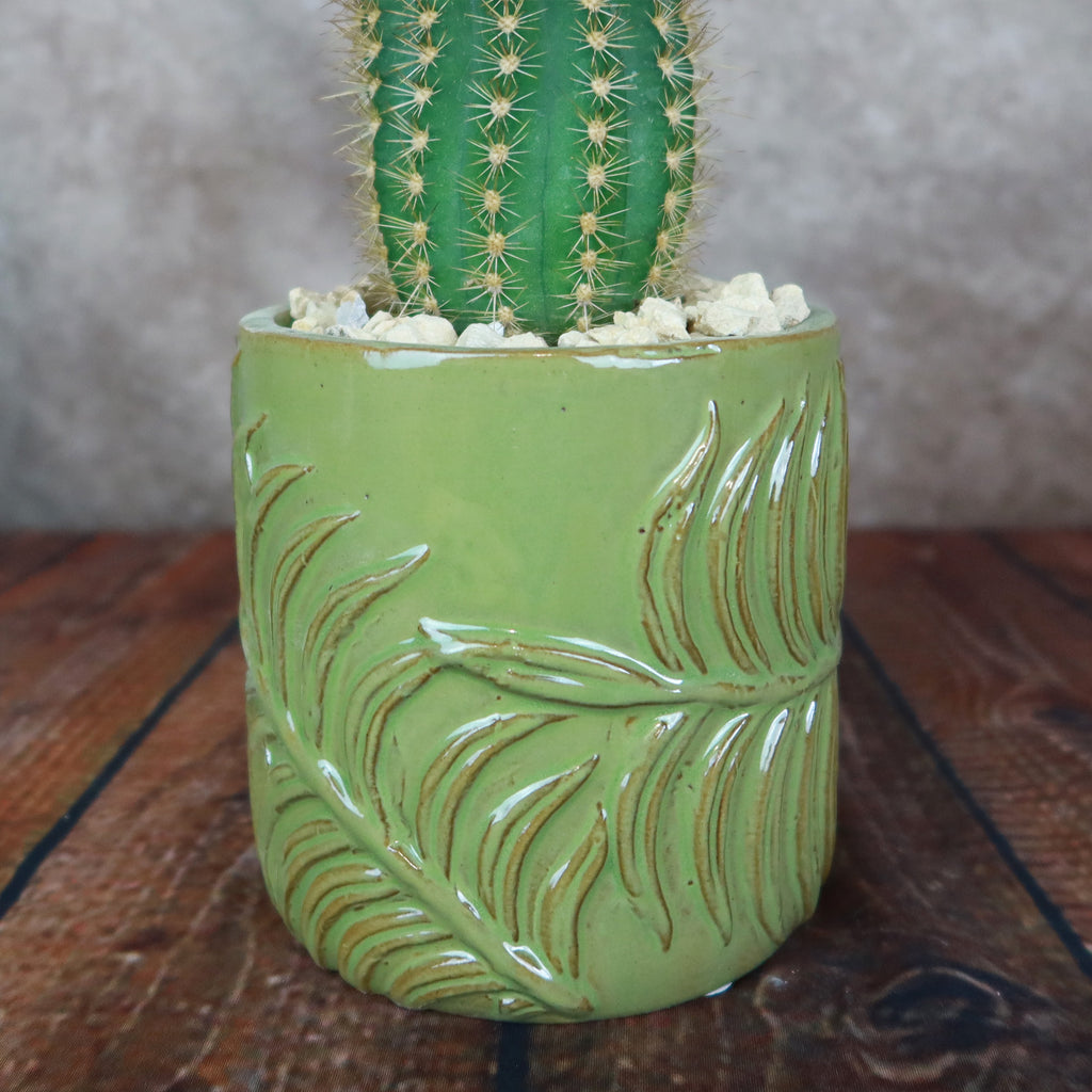 Green Fern Cylinder Pot