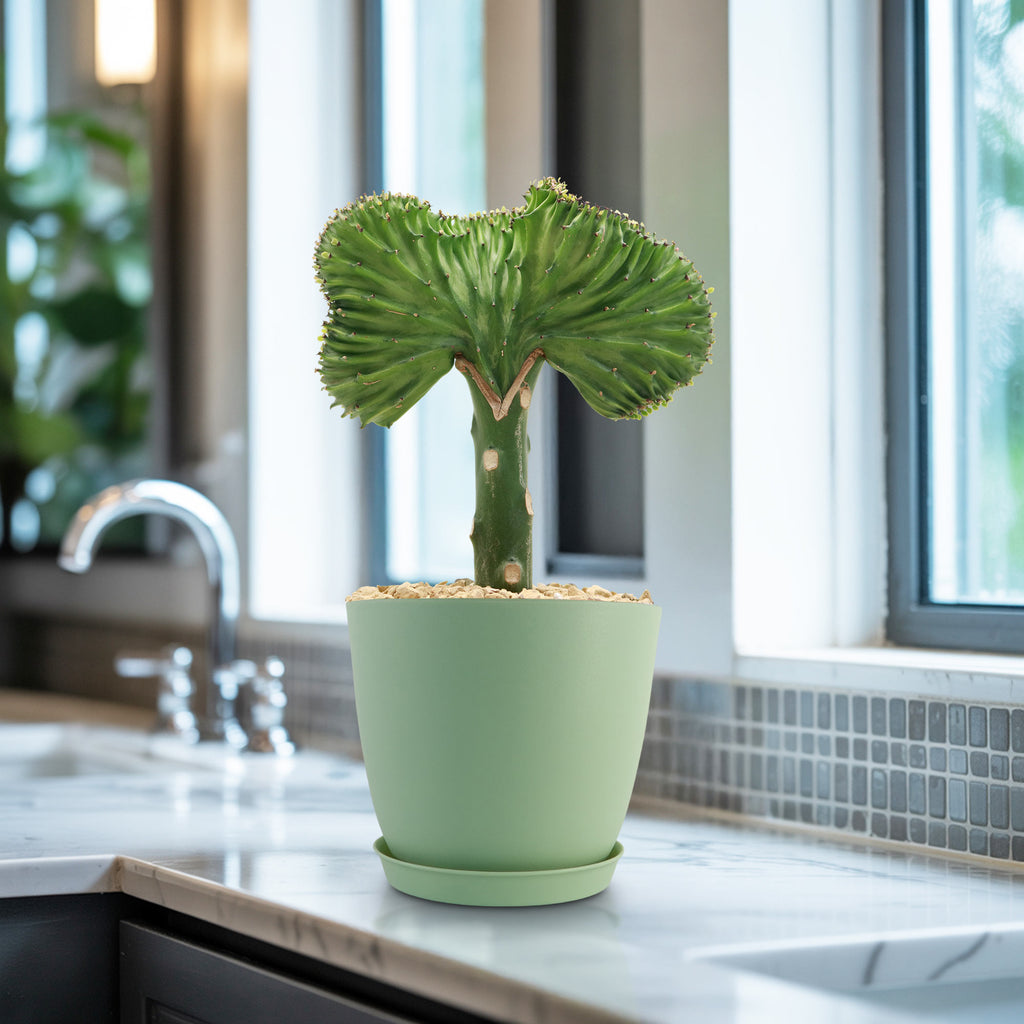 patrol_placeholder_a6ead9acc5af34cb22c78a05ed144ef7