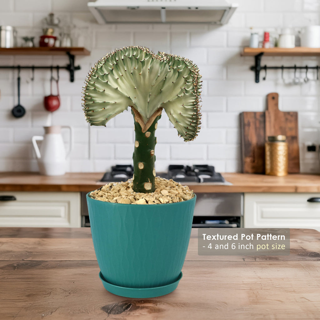 patrol_placeholder_a6ead9acc5af34cb22c78a05ed144ef7