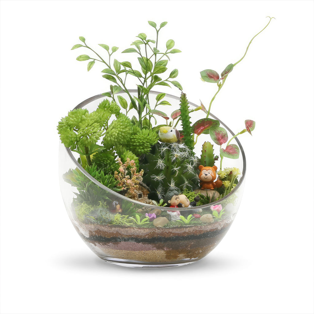 Decorative Half Moon Glass Bowl for Plants