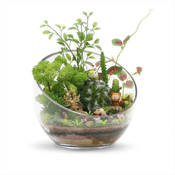 Decorative Half Moon Glass Bowl for Plants – Planet Desert