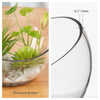 Decorative Half Moon Glass Bowl for Plants