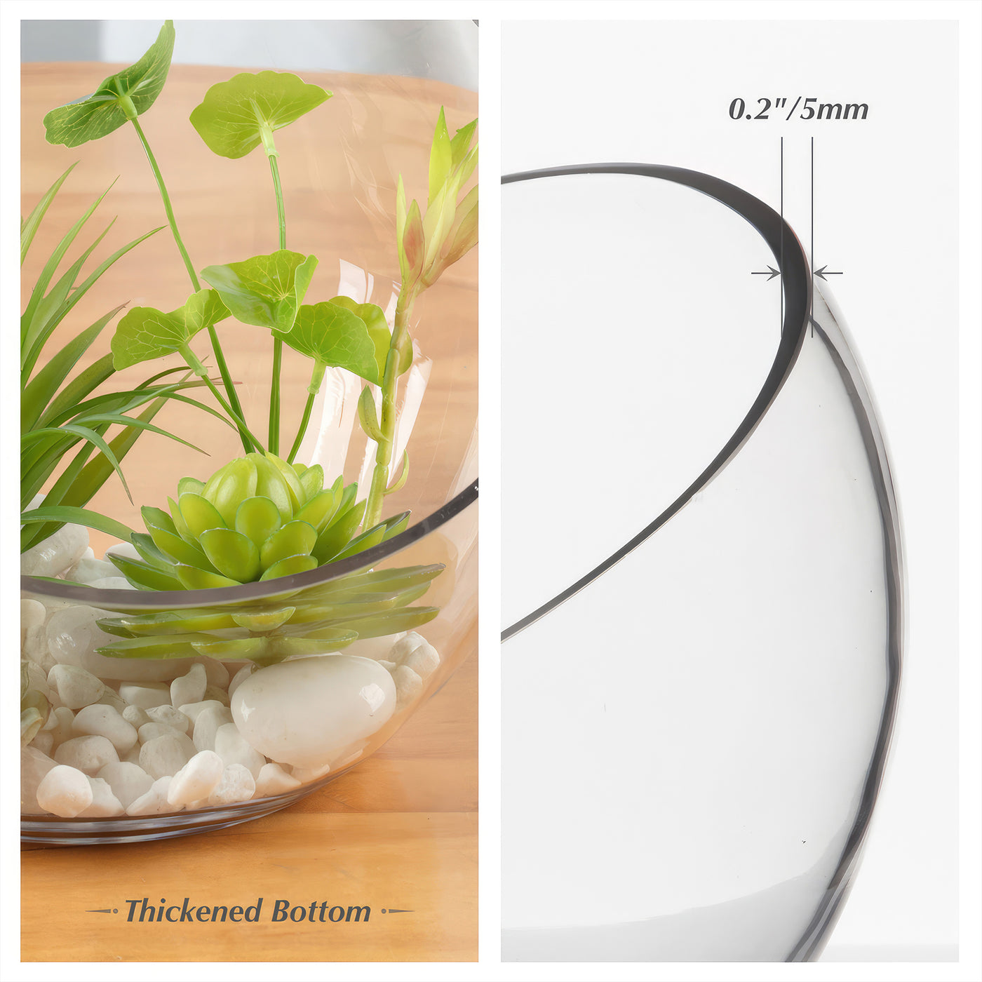 glass bowl for indoor plants Decorative Half Moon Glass Bowl for Plants – Planet Desert