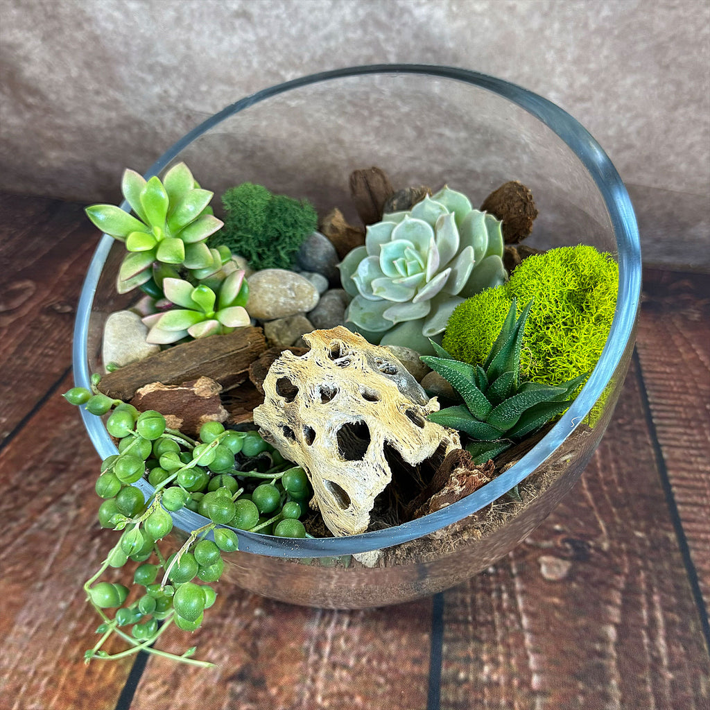 Half Moon Glass Succulent Terrarium DIY Kit - Includes 4 Plants, decorative rocks and more...