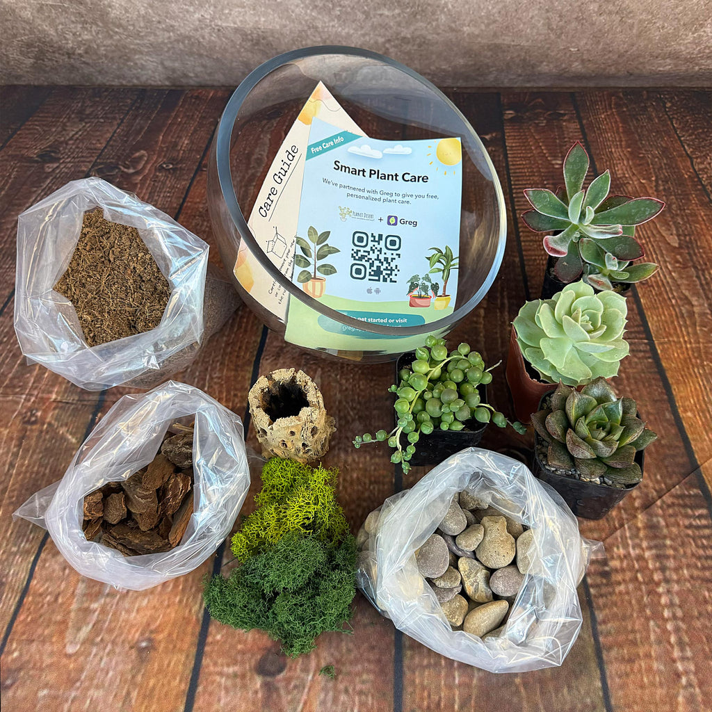 Half Moon Glass Succulent Terrarium DIY Kit - Includes 4 Plants, decorative rocks and more...