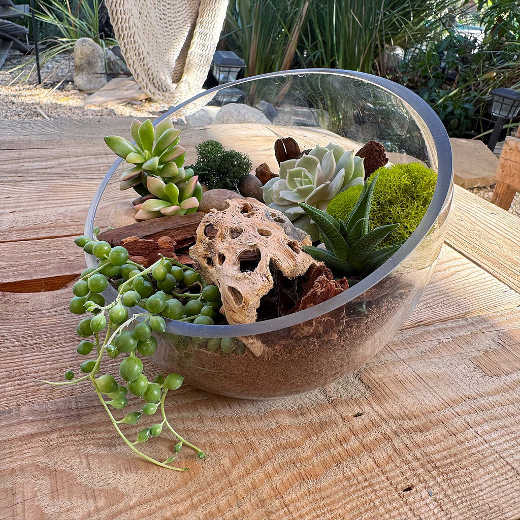 Half Moon Glass Succulent Terrarium DIY Kit - Includes 4 Plants, decorative rocks and more...