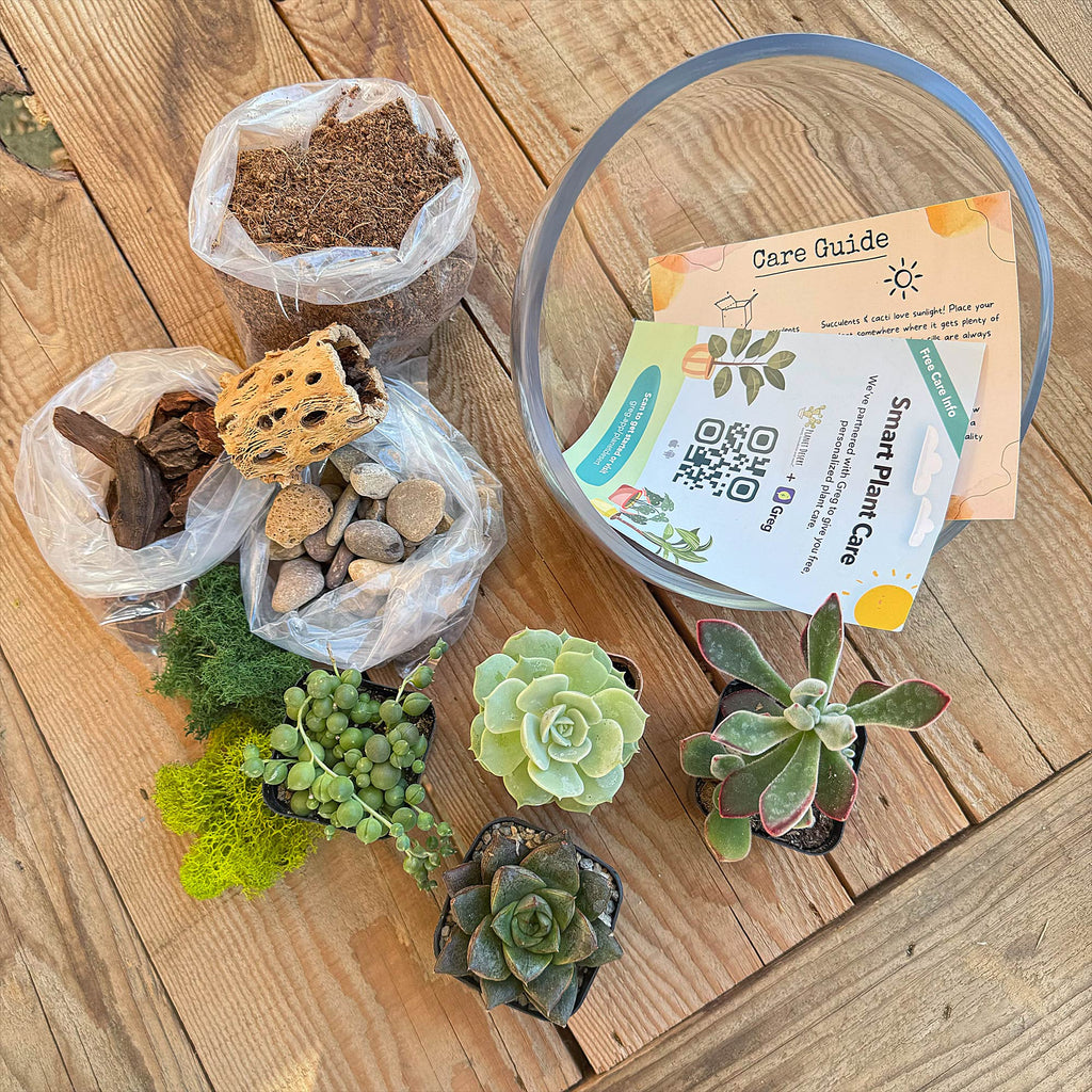 Half Moon Glass Succulent Terrarium DIY Kit - Includes 4 Plants, decorative rocks and more...